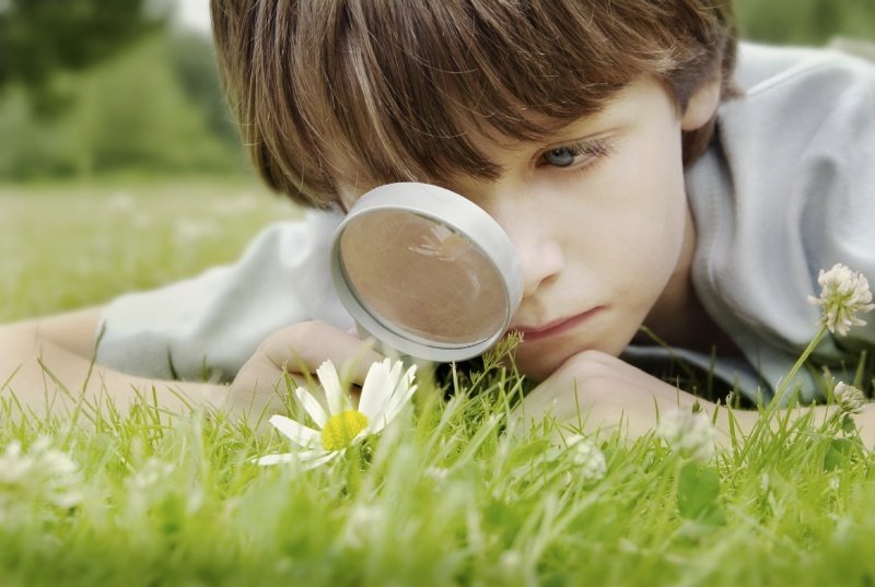 کودک در حال مشاهده جزئیات یک گل