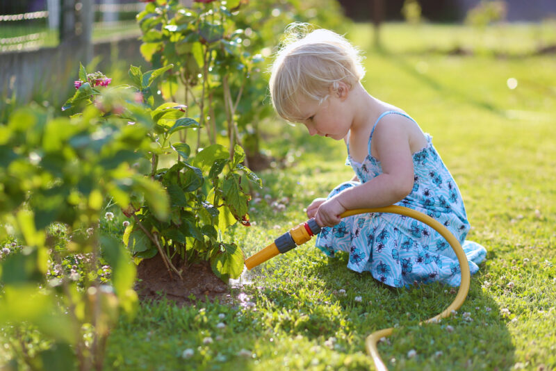 کودک در حال آب دادن گل ها